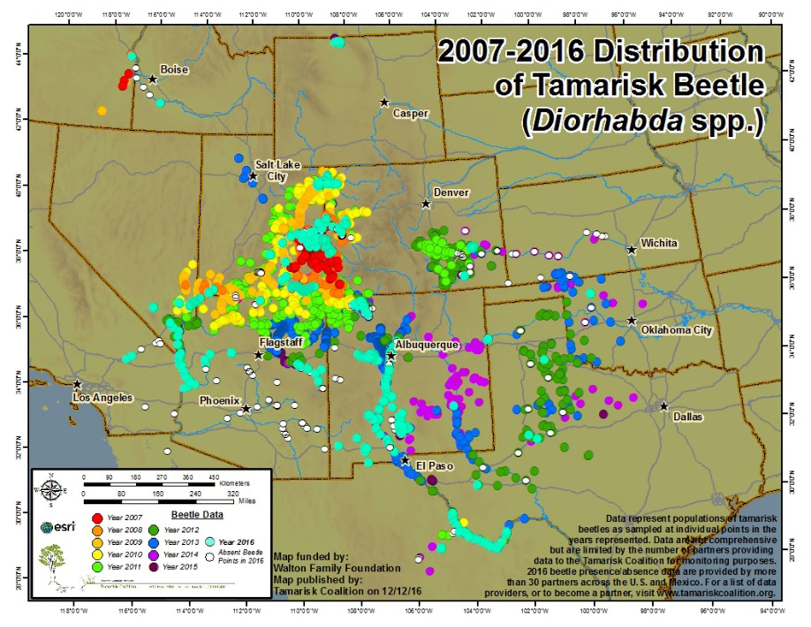 Tamarisk coalition annual monitoring map of the tamarisk leaf beetle